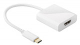 Adapter USB-C auf HDMI Buchse